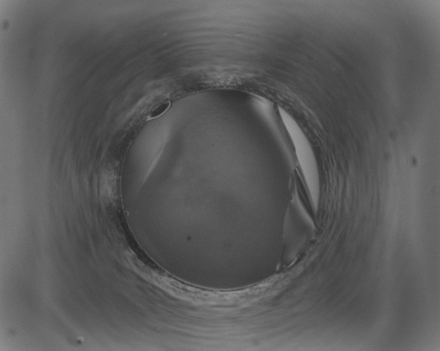 X0000084520035200703091614