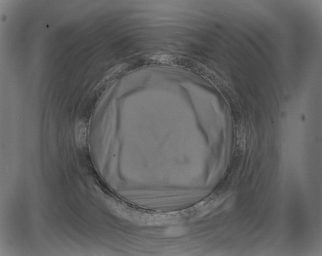 X0000084520036200703091614