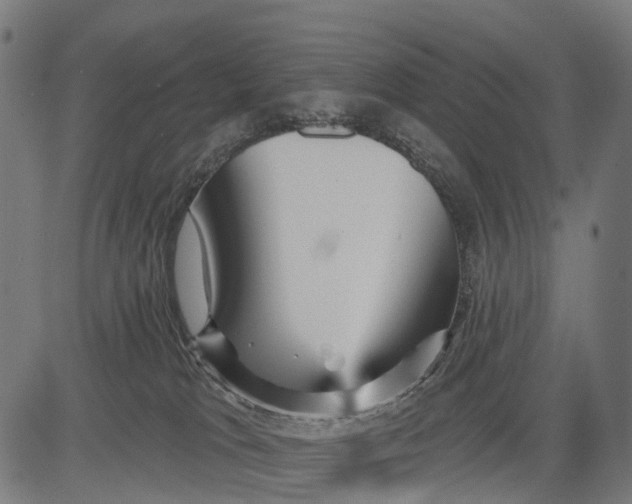 X0000084520037200703091614