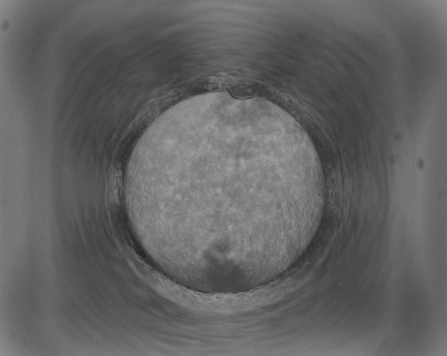 X0000084520038200703091613