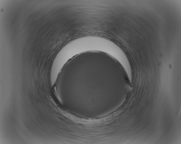 X0000084520039200703091613