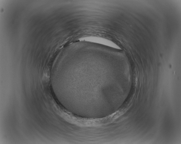 X0000084520040200703091613