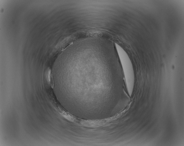 X0000084520041200703091613