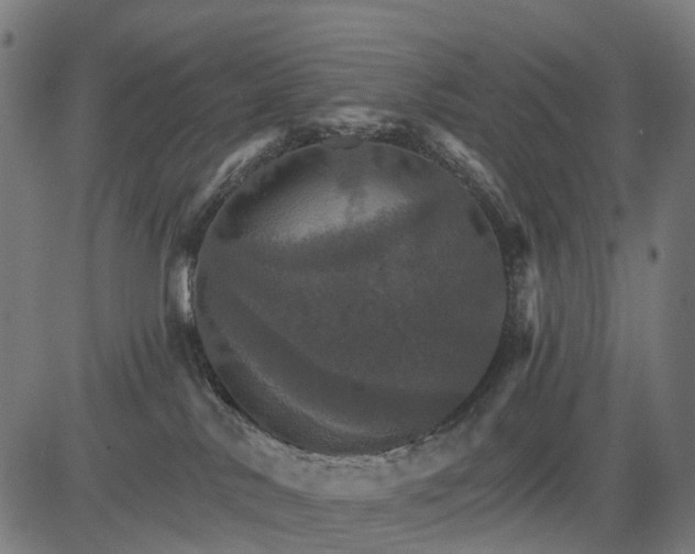 X0000084520042200703091613