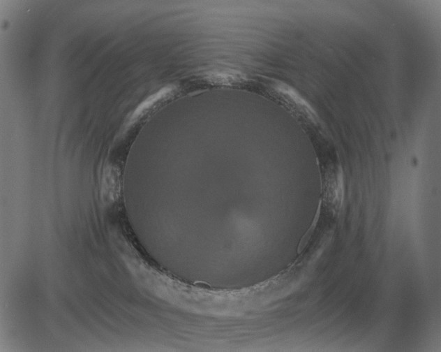 X0000084520043200703091613