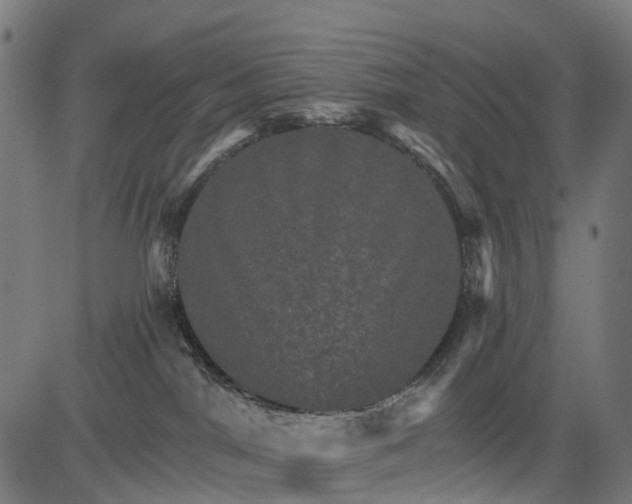 X0000084520044200703091613