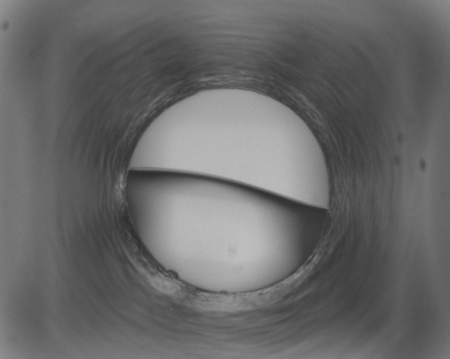 X0000084520045200703091613