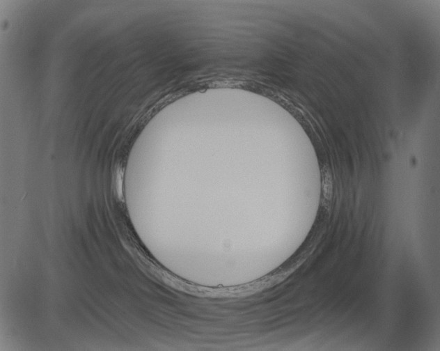 X0000084520046200703091613