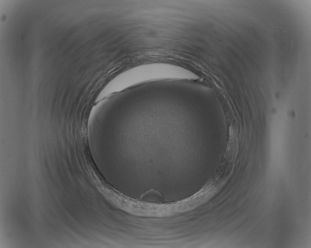 X0000084520048200703091613