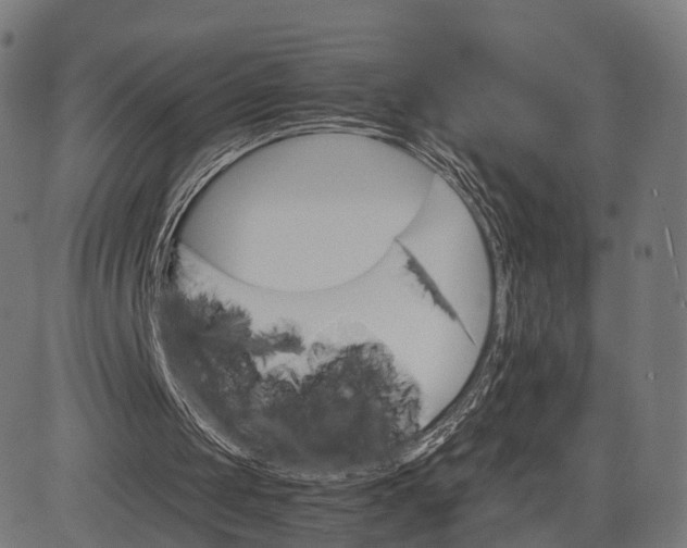 X0000084520049200703091613