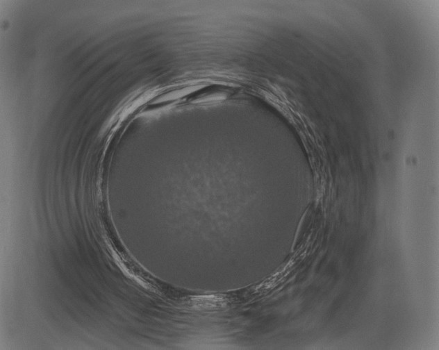 X0000084520050200703091613