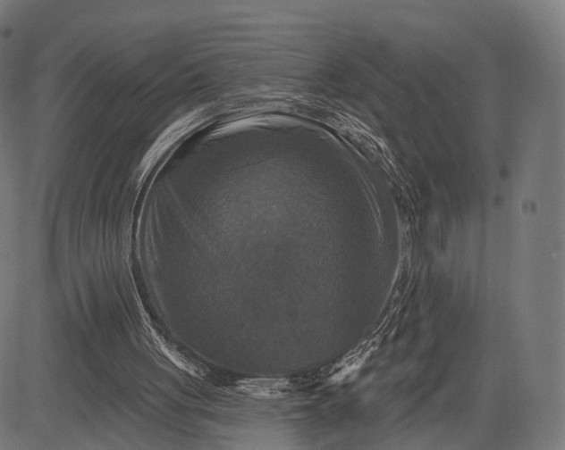 X0000084520051200703091613