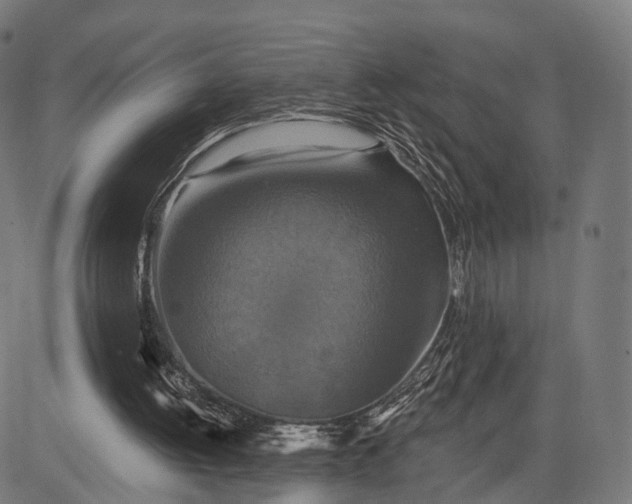 X0000084520052200703091613