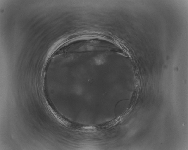 X0000084520053200703091613