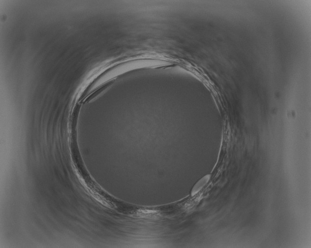 X0000084520055200703091613