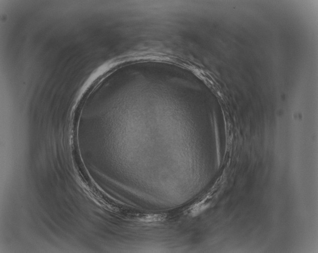 X0000084520056200703091613