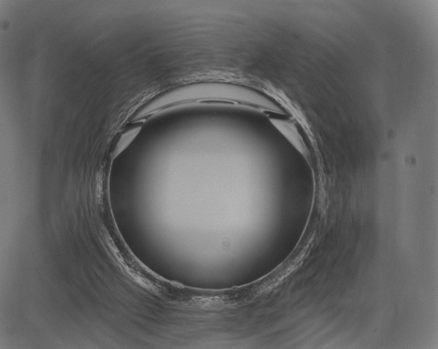 X0000084520057200703091613