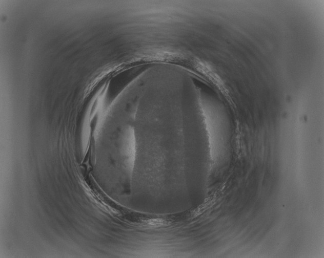 X0000084520058200703091613