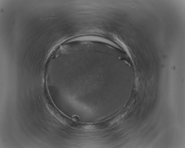 X0000084520059200703091613