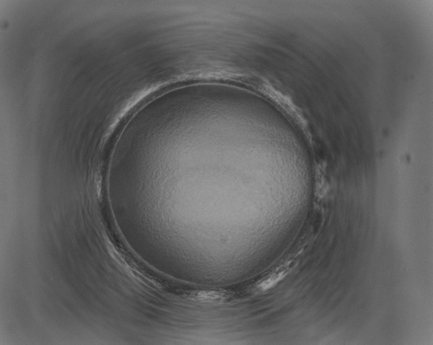 X0000084520060200703091613