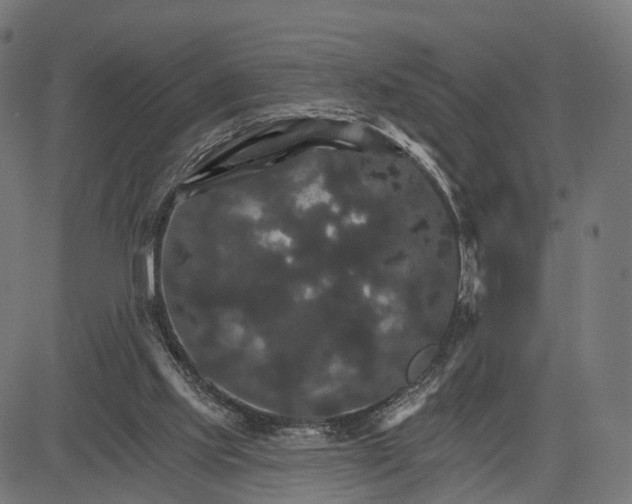 X0000084520061200703091613