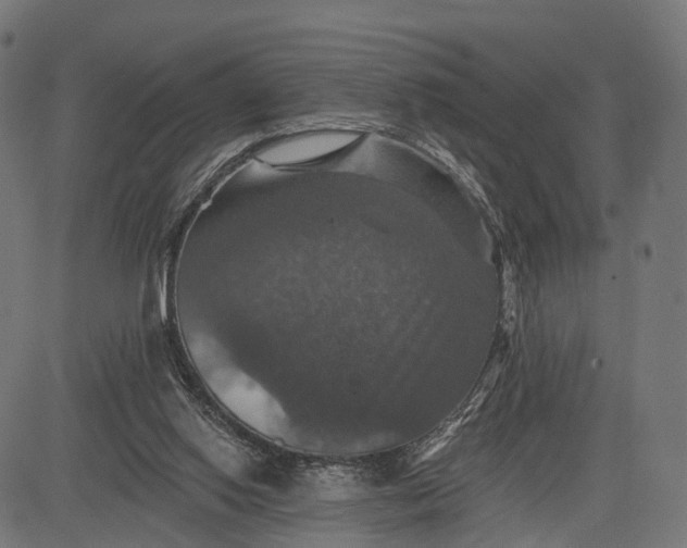 X0000084520062200703091613