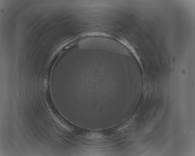 X0000084520063200703091613