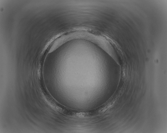 X0000084520064200703091613