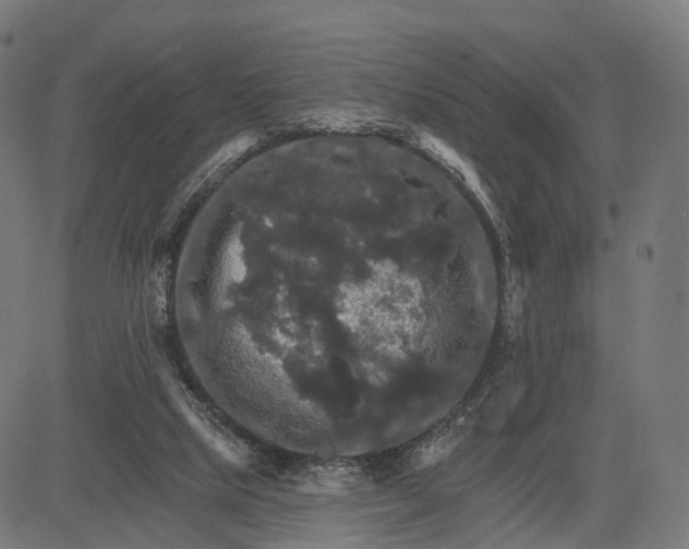 X0000084520065200703091613