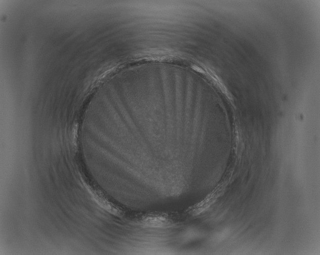 X0000084520066200703091613