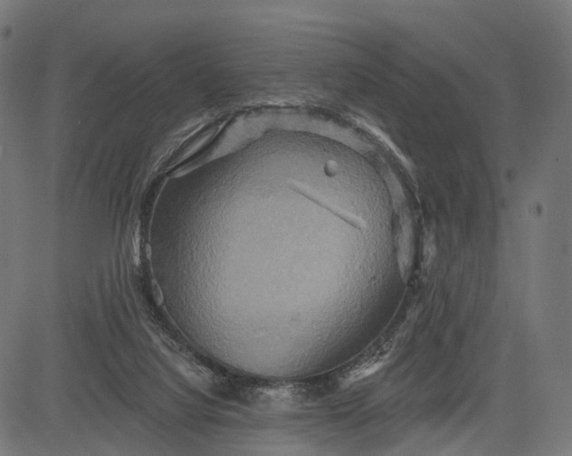 X0000084520068200703091613