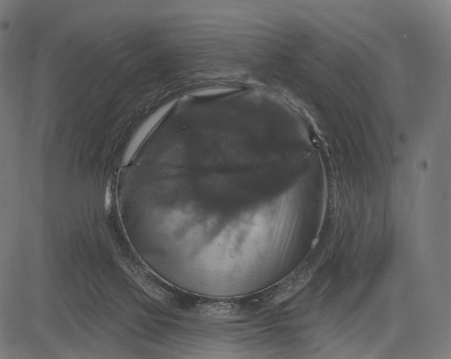 X0000084520069200703091613