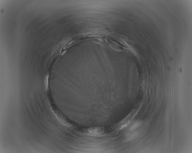 X0000084520070200703091613