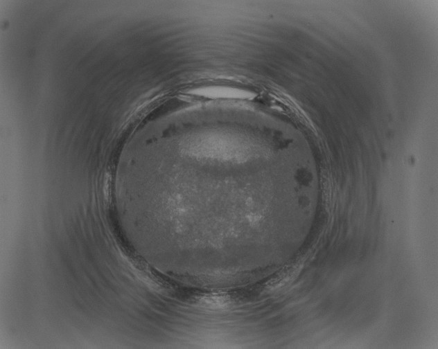 X0000084520071200703091613