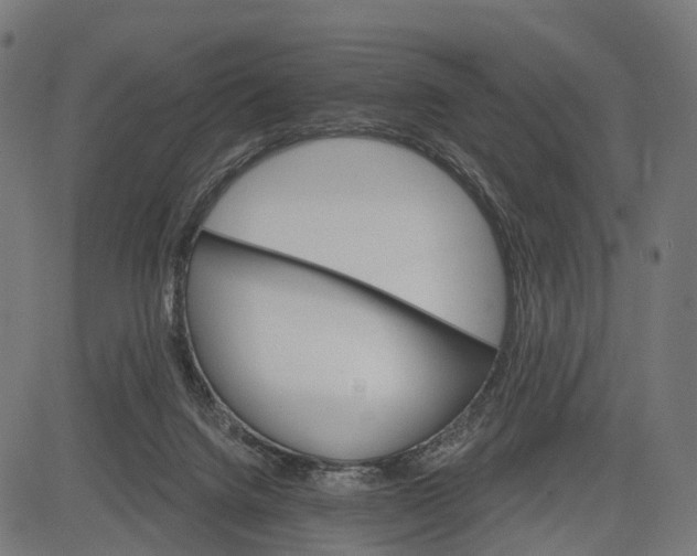 X0000084520072200703091613