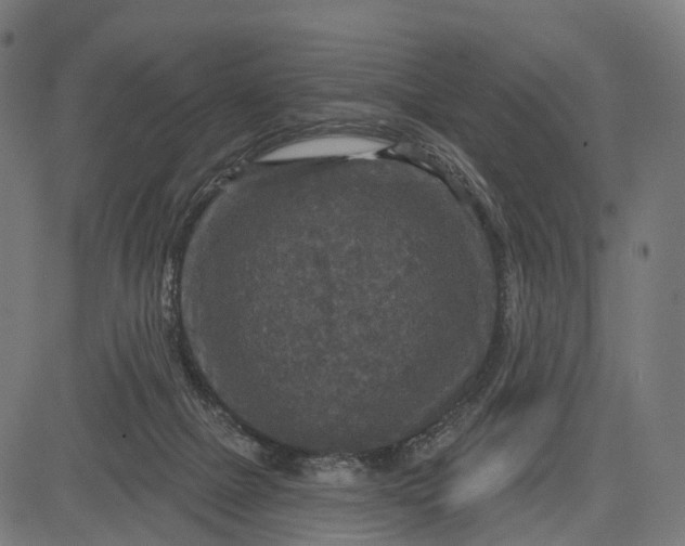 X0000084520073200703091613