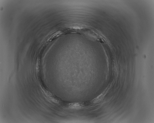 X0000084520074200703091613