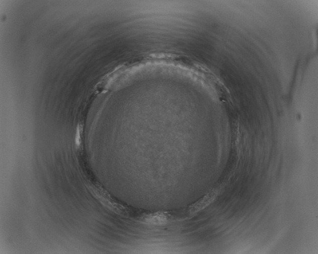 X0000084520075200703091613