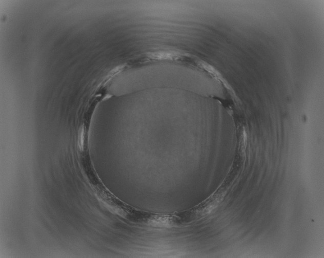 X0000084520076200703091613