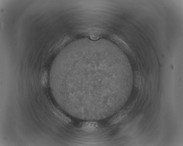 X0000084520077200703091613