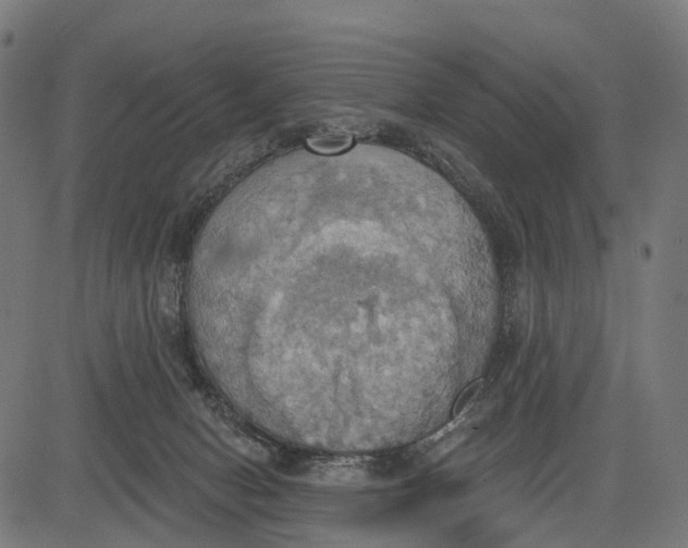 X0000084520078200703091613