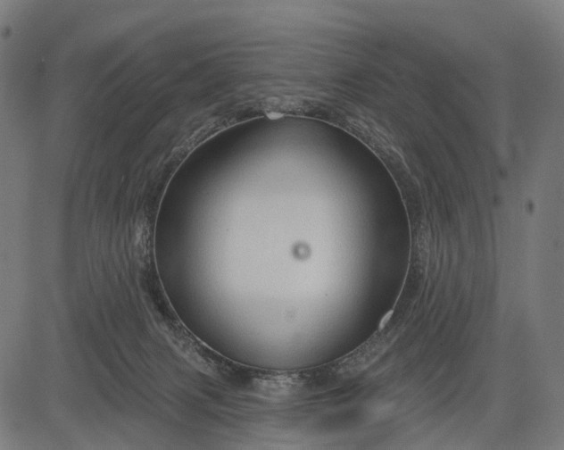 X0000084520079200703091613