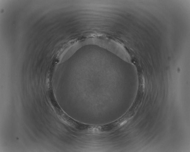 X0000084520080200703091613