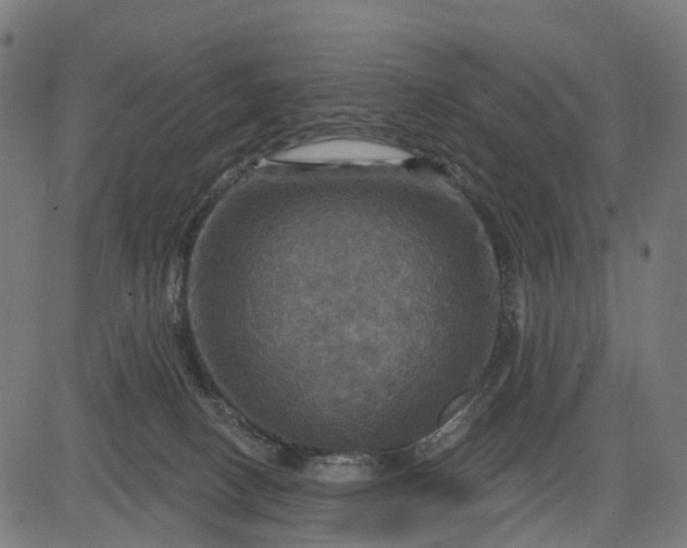 X0000084520082200703091613