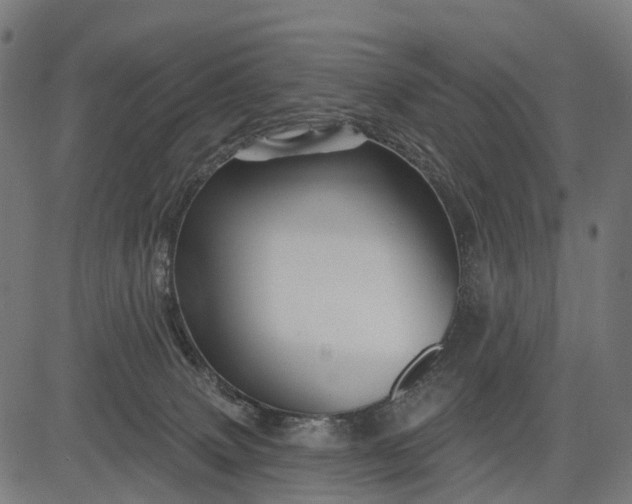 X0000084520083200703091613