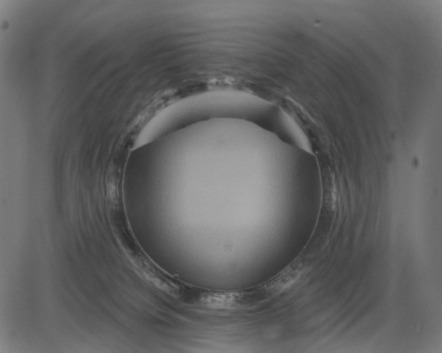 X0000084520084200703091613