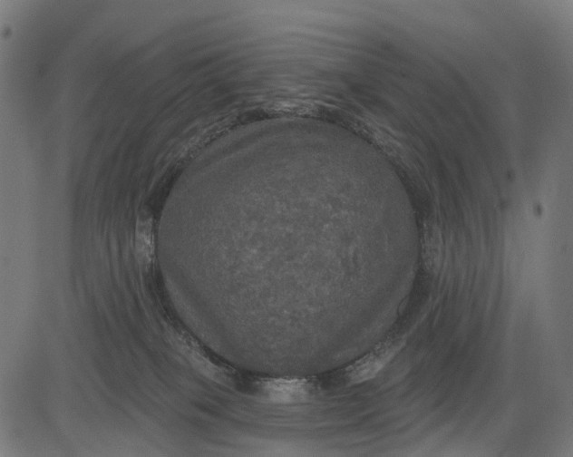 X0000084520085200703091613