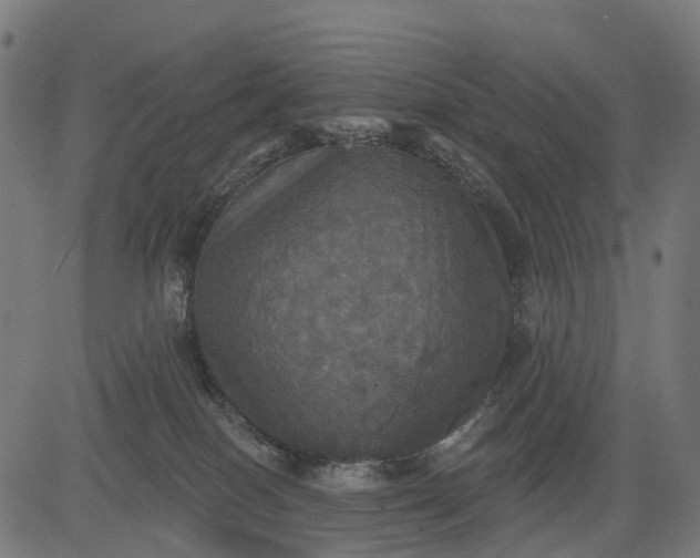 X0000084520086200703091613