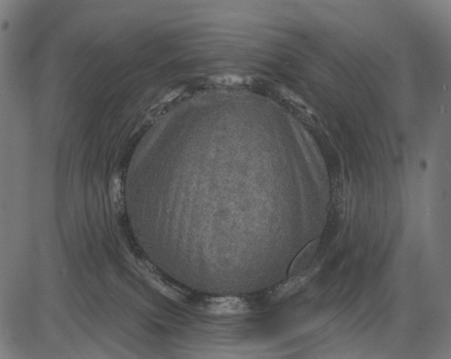 X0000084520087200703091613