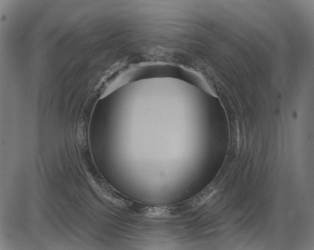 X0000084520088200703091613